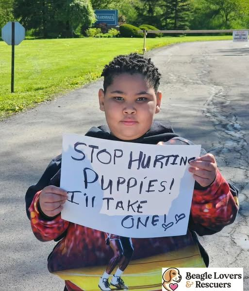 Child wants to rescue and adopt puppy born for the testing labs inside Marshall BioResources in North Rose, Wayne County, New York.